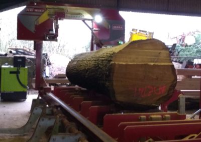 Oak Planking