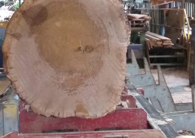 Stained Oak Log