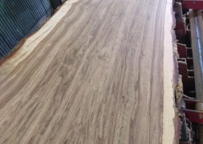 Pretty Oak Slab