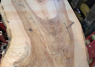 Crotch Ash Slab